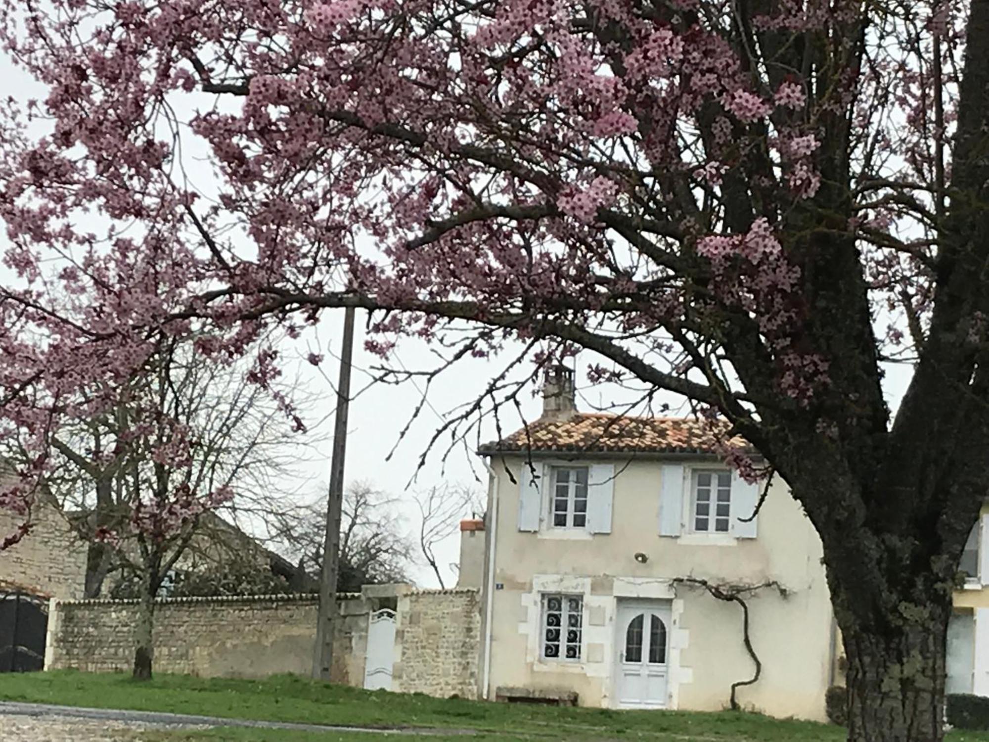 La Maison De Josephine Montignac-Charente 외부 사진